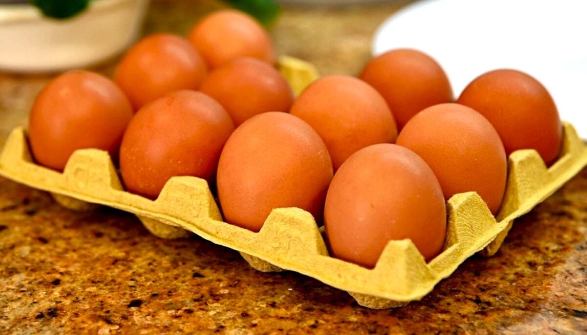 Омлет за 40 секунд у мікрохвильовці - королівський сніданок від світових шефів