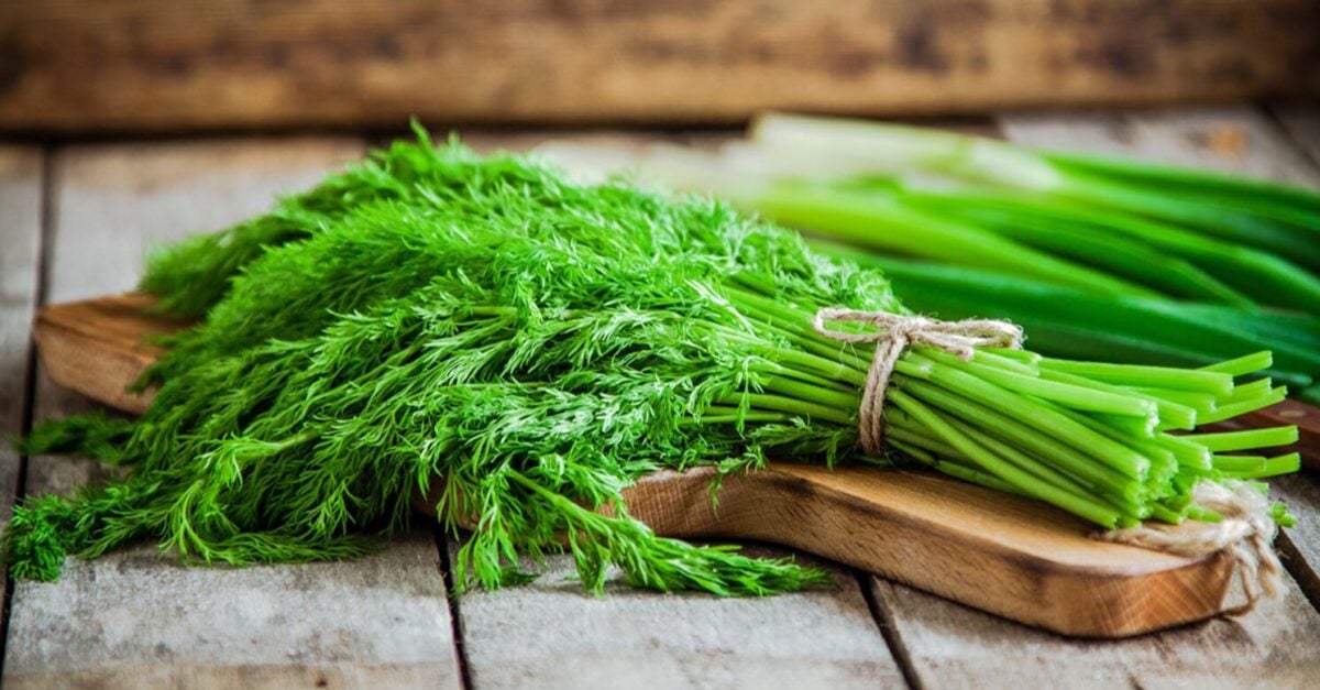 Ви точно це викидаєте! 6 видів найкориснішої зелені, про силу яких ми забули.