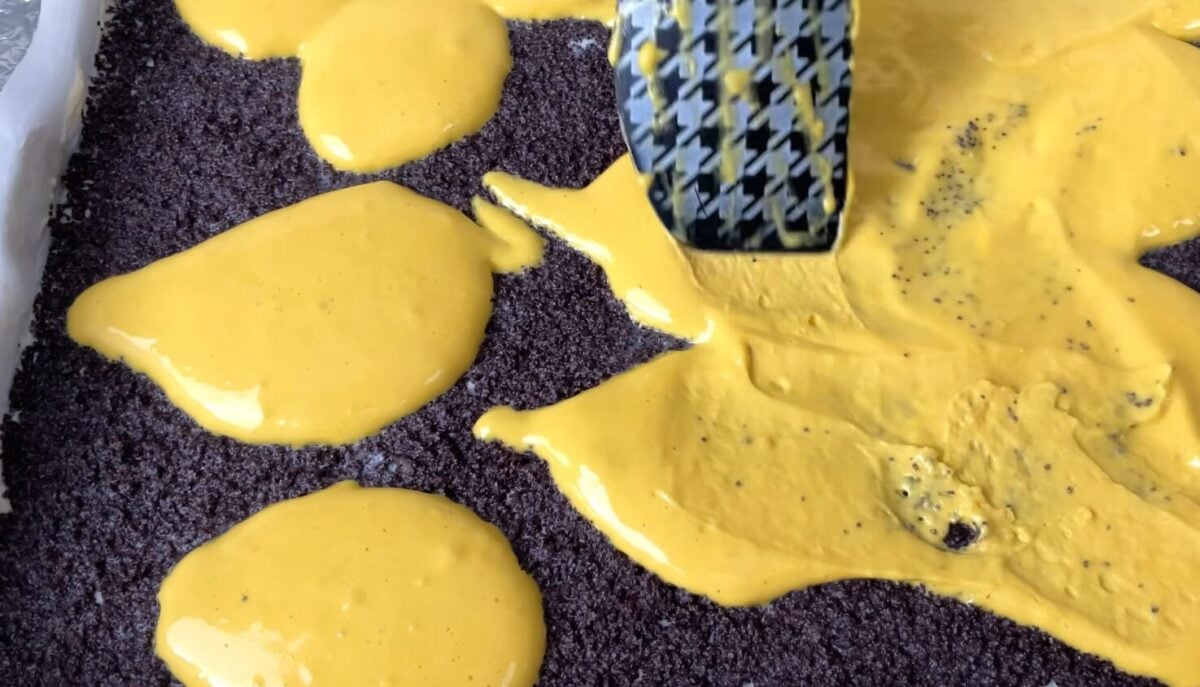 Білково маково-сирний корж на пляцок Княгиня