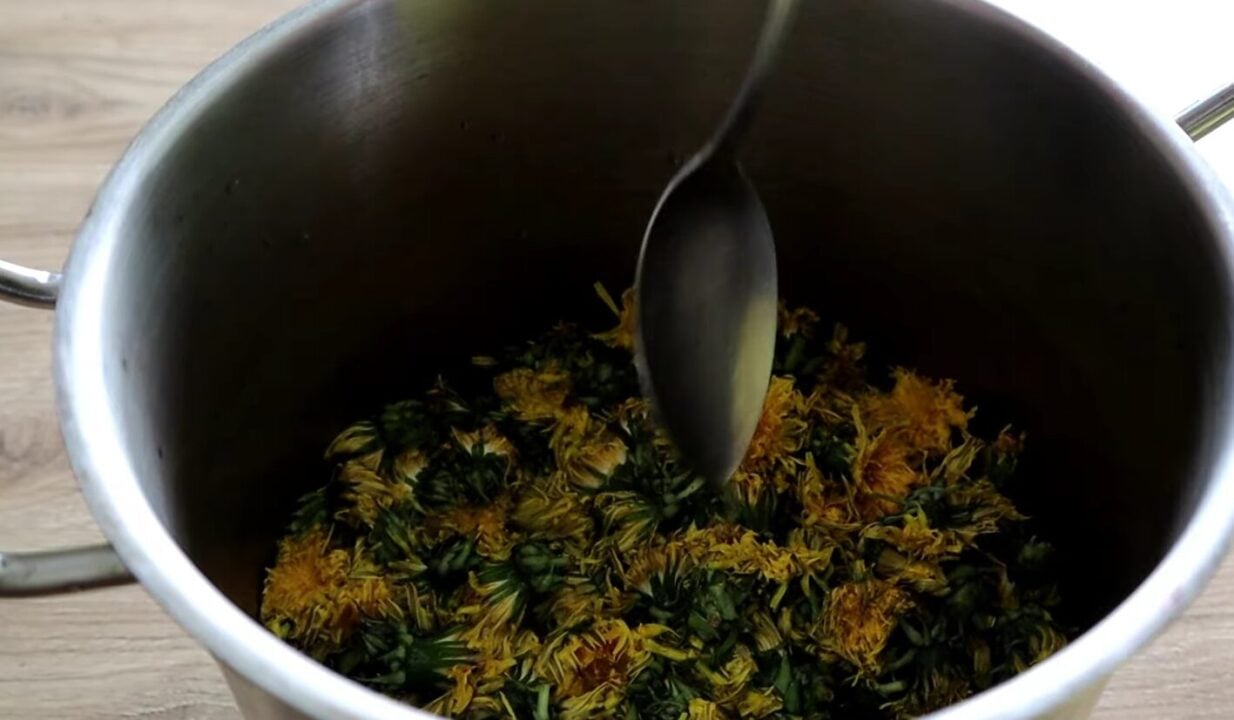 мед з кульбаби