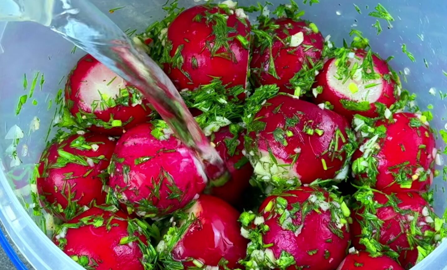 квашена редиска