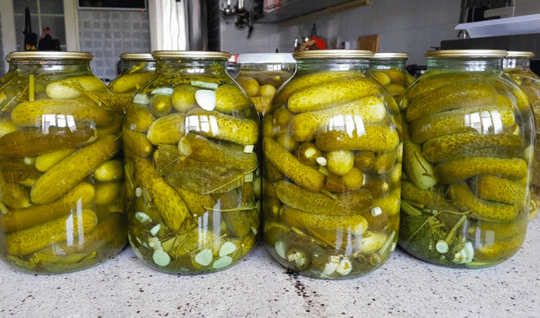 Бочкові огірки на зиму! Холодний спосіб! Без оцту! Перевірений фірмовий рецепт!