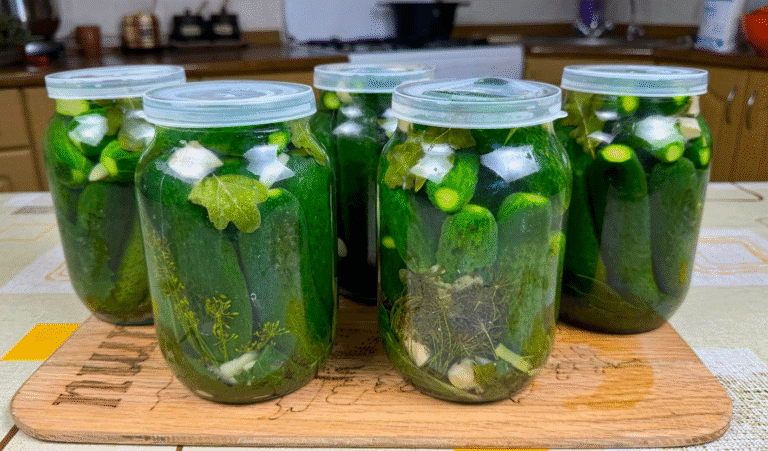 Квашені огірки на зиму! Рецепт, який не підведе, перевірено десятиліттями! Як з бочки
