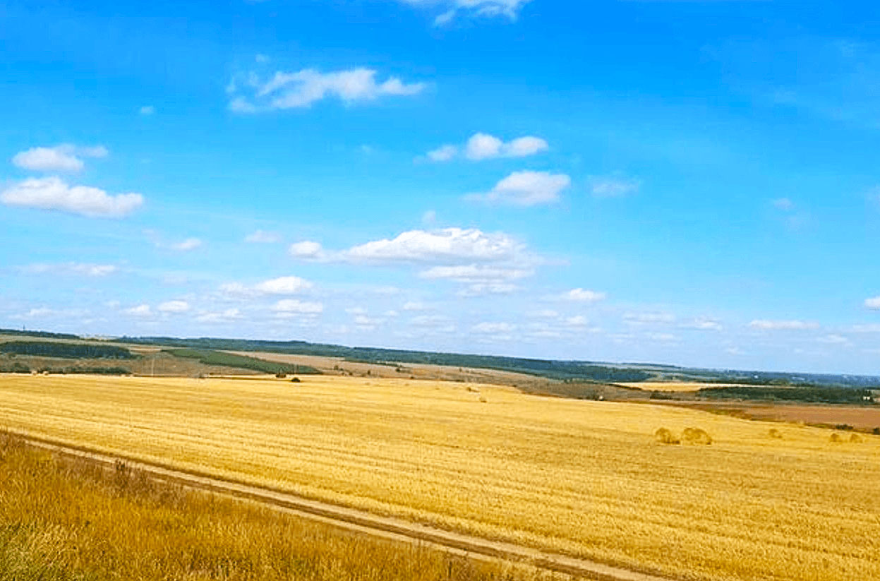 Не паліть стерню! Ось що з нею робити, щоб земля дала вдвічі більший урожай