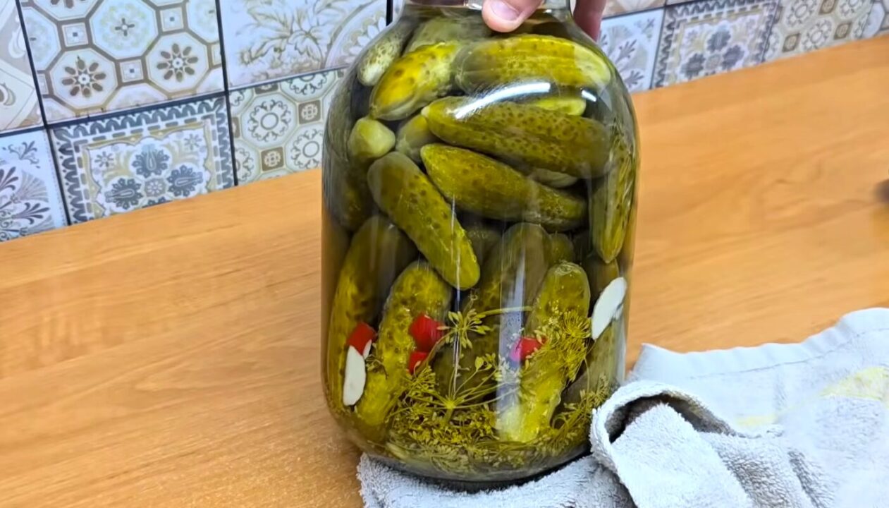Квашу огірки на зиму тільки так - хрумкі, як з бочки: холодний спосіб без оцту, цукру і стерилізації