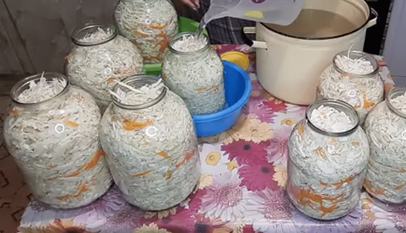 квашена капуста в розсолі