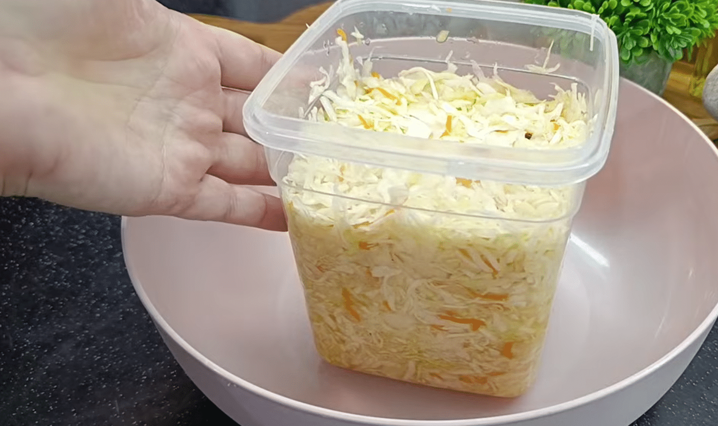 квашена капуста